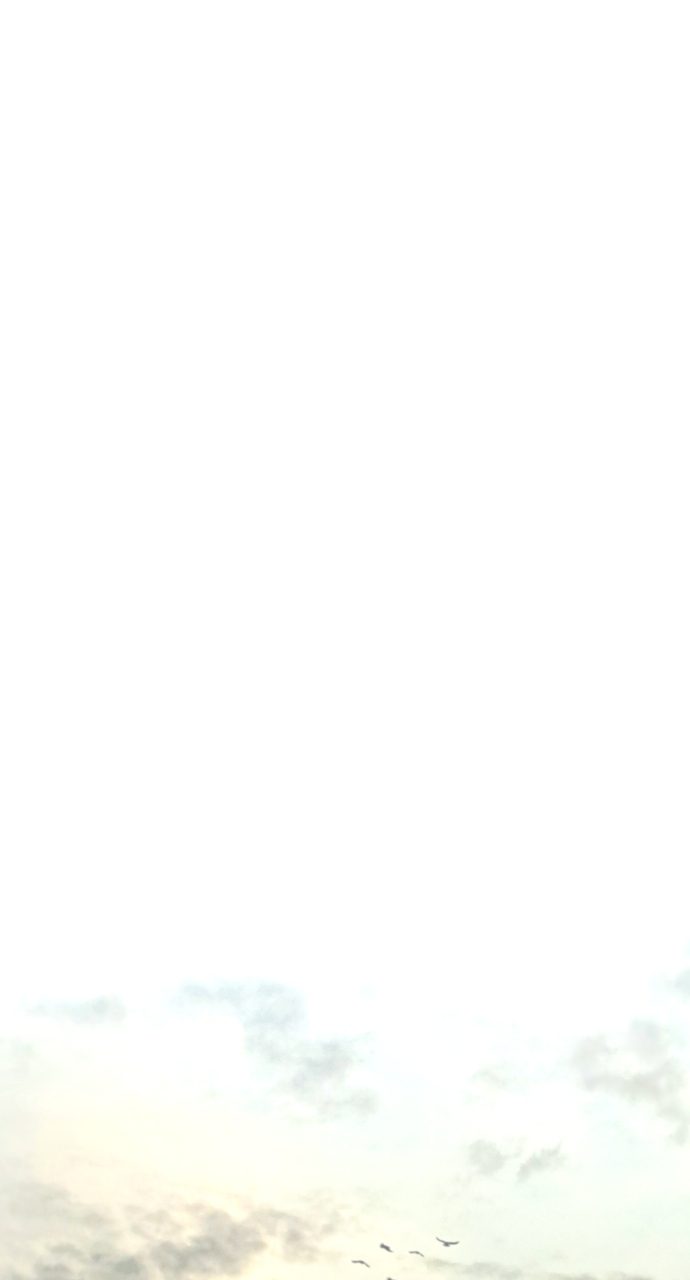 Heavenly Demon Cultivation Simulation Chapter 121 - Page 52