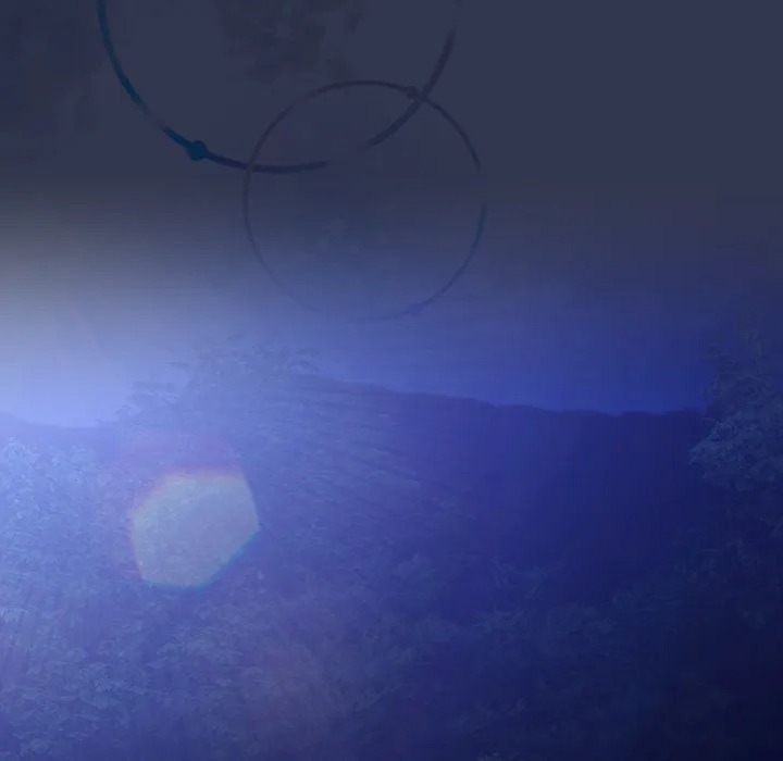 But I Love You Chapter 32 - Page 55