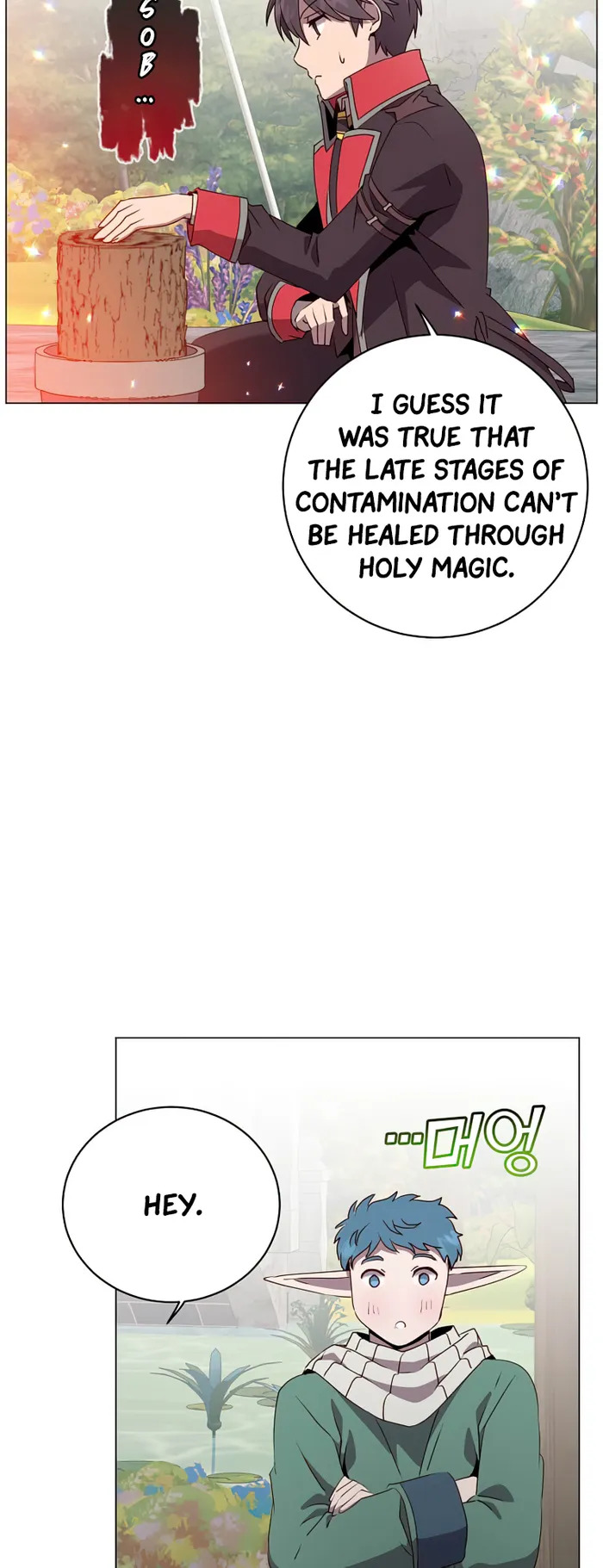 The Max Level Hero Has Returned! Chapter 135 - Page 9