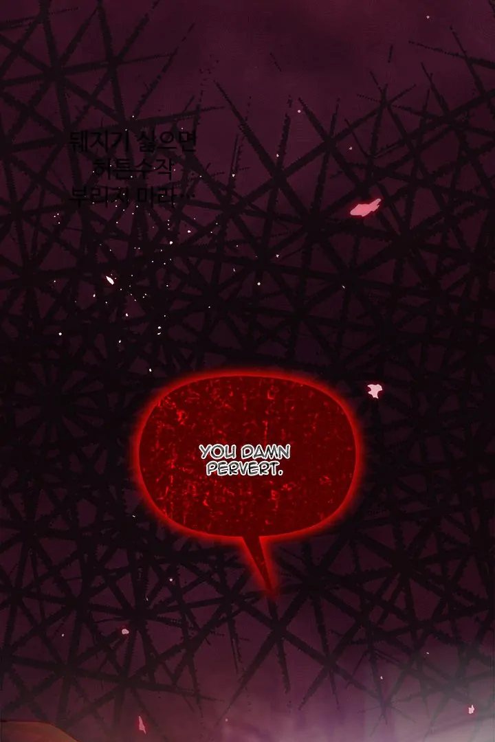 I Will Protect the Lady Chapter 4 - Page 3