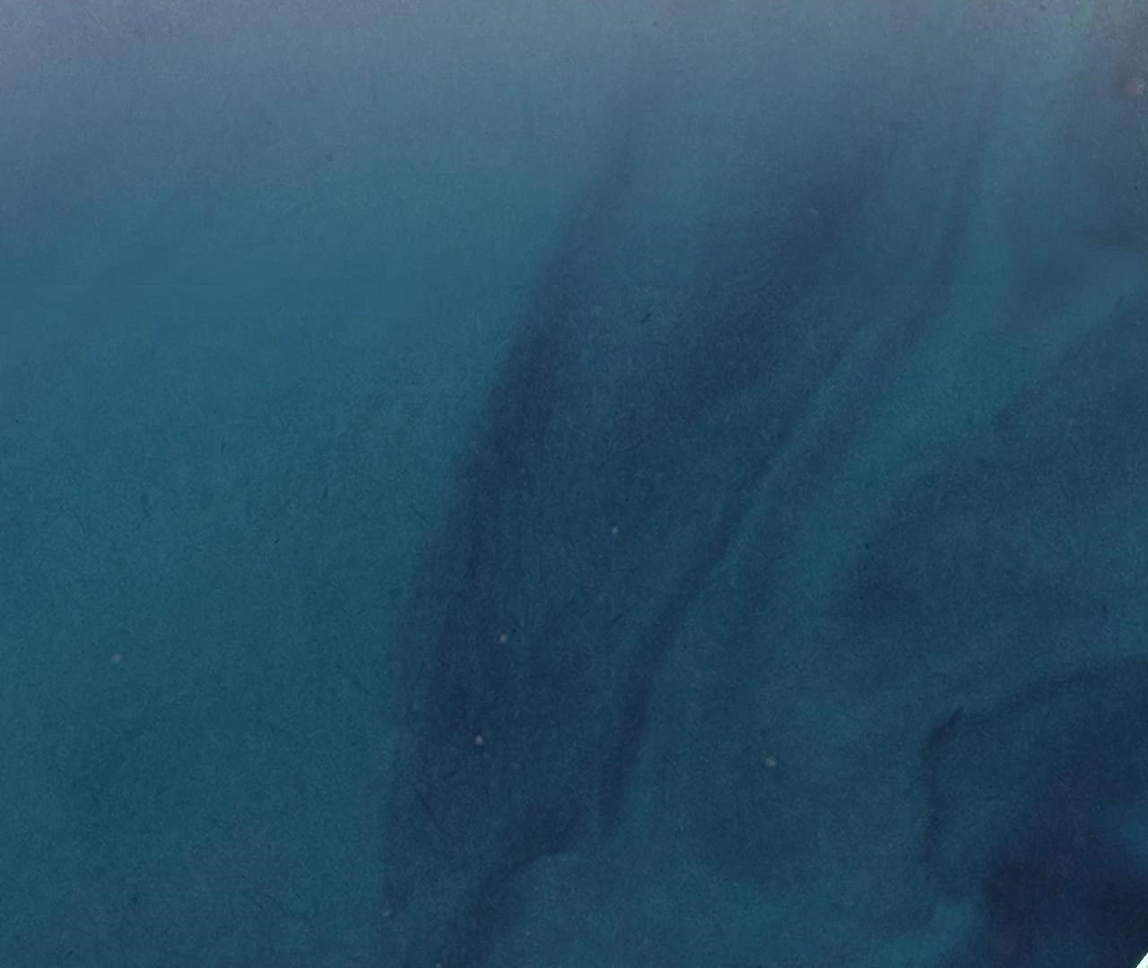 The Ultimate of All Ages Chapter 410 - Page 82