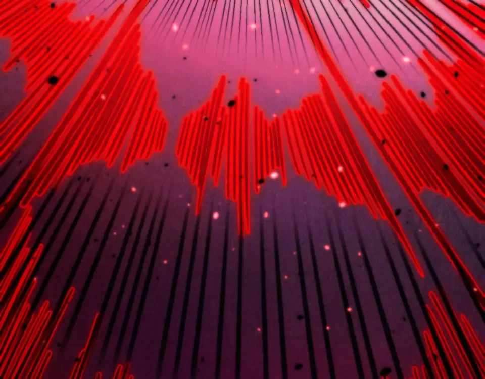 The Ultimate of All Ages Chapter 486 - Page 13