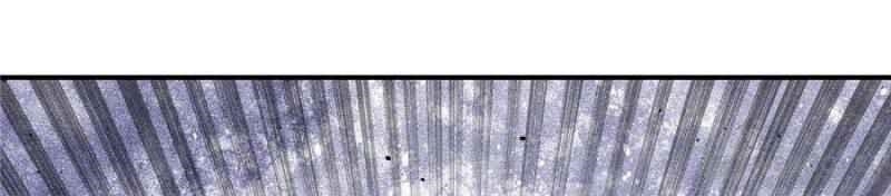 All Hail the Sect Leader Chapter 38 - Page 3