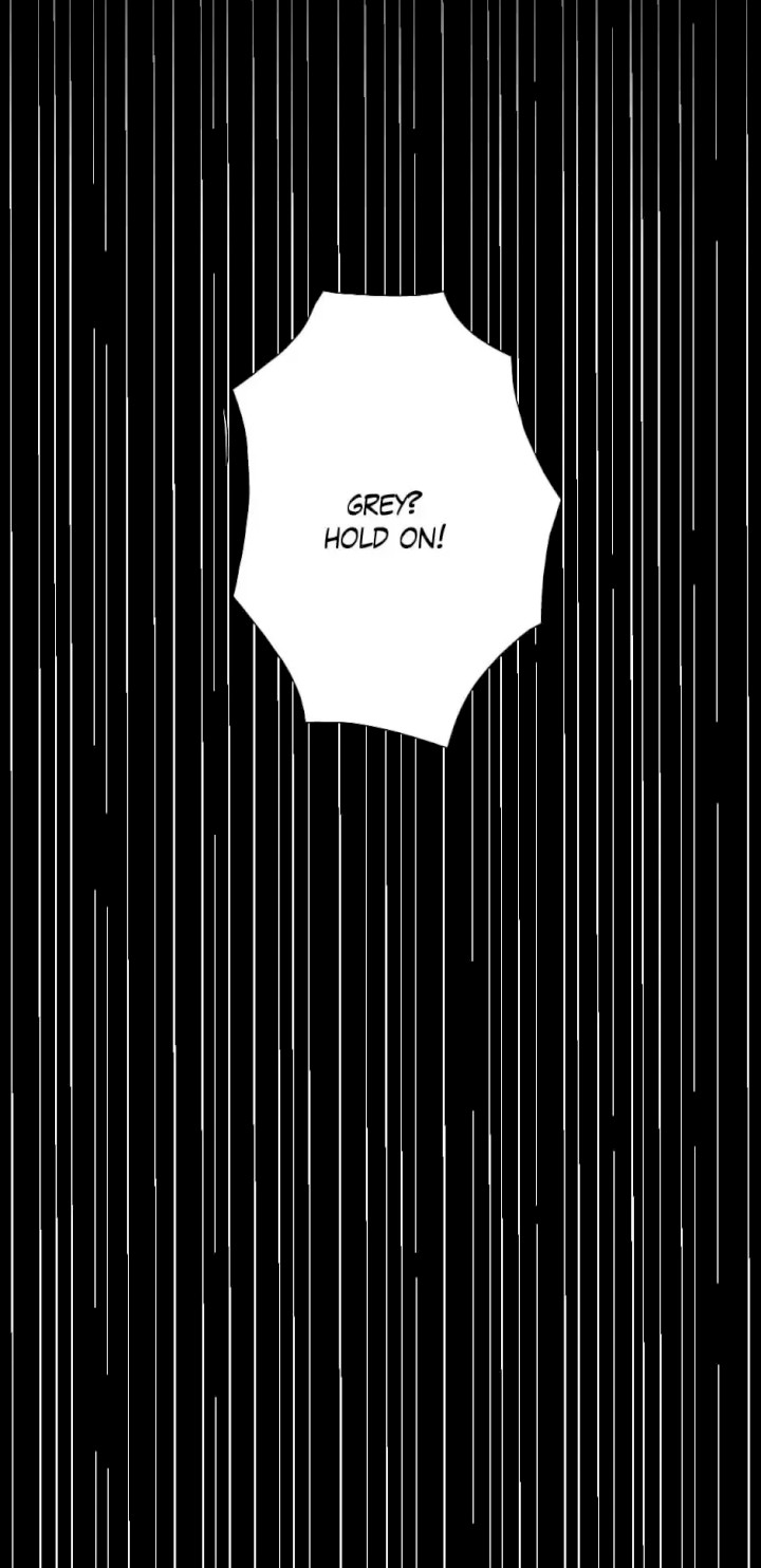 The Beginning After the End Chapter 11 - Page 19