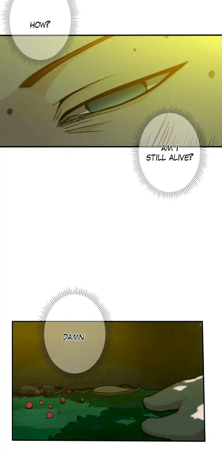 The Beginning After the End Chapter 11 - Page 29