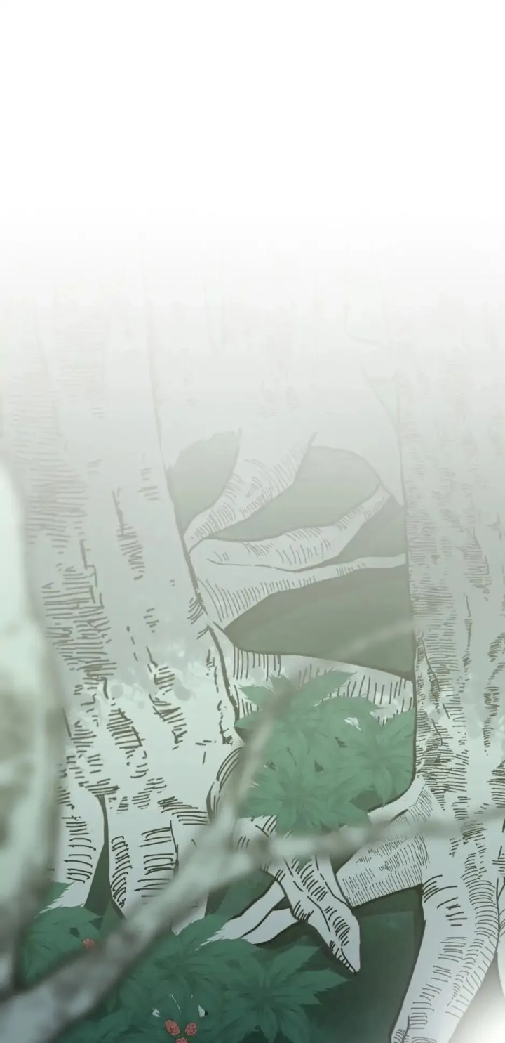 The Beginning After the End Chapter 19 - Page 1