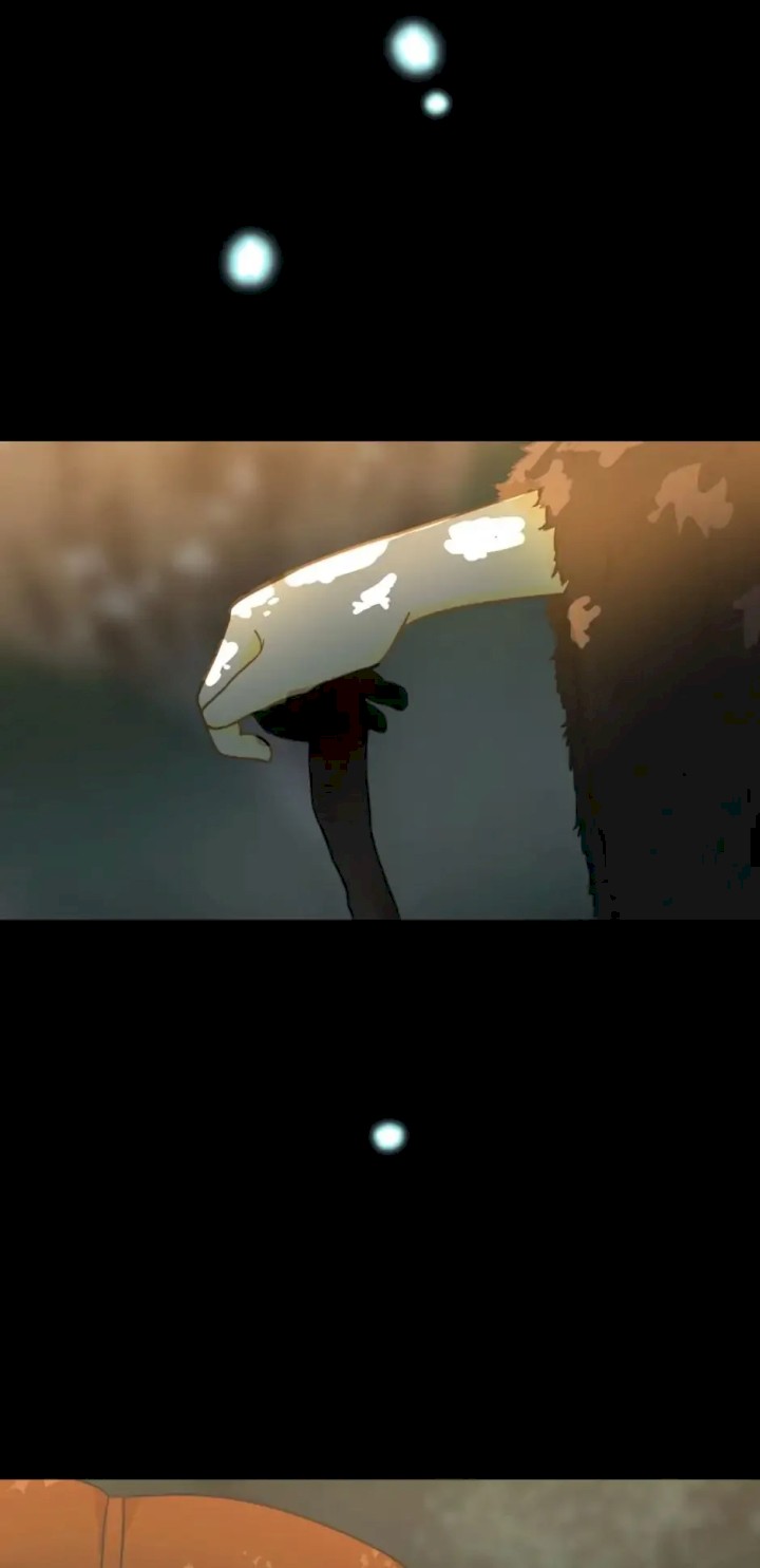 The Beginning After the End Chapter 19 - Page 13