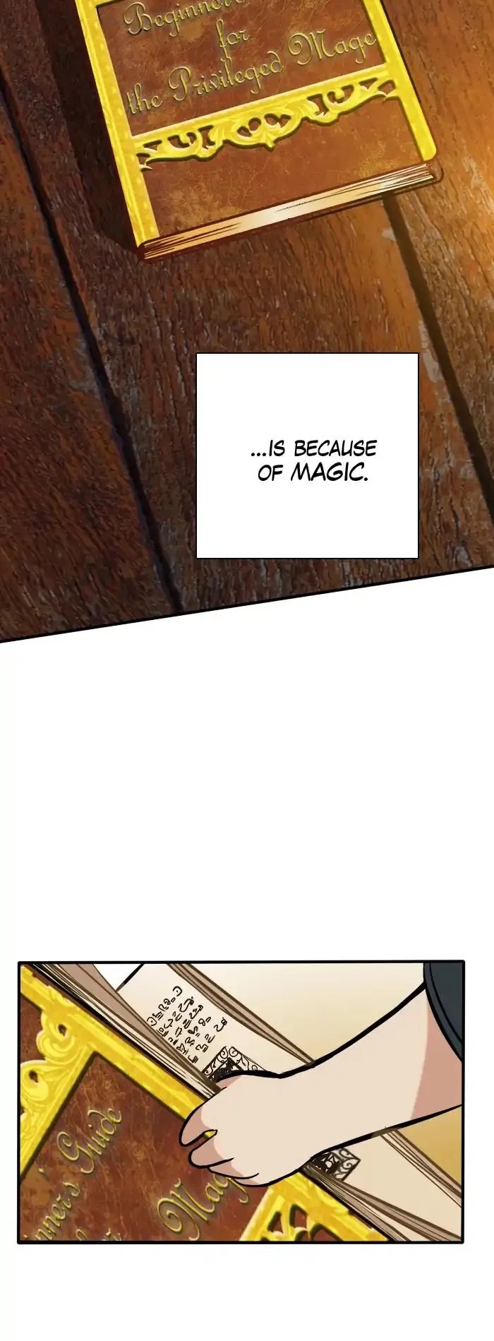 The Beginning After the End Chapter 2 - Page 35