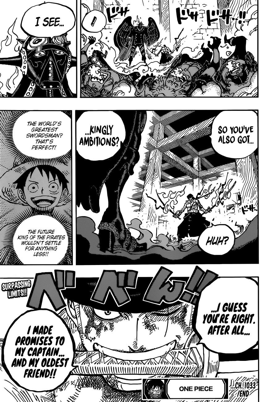One Piece Chapter 1033 - Page 17