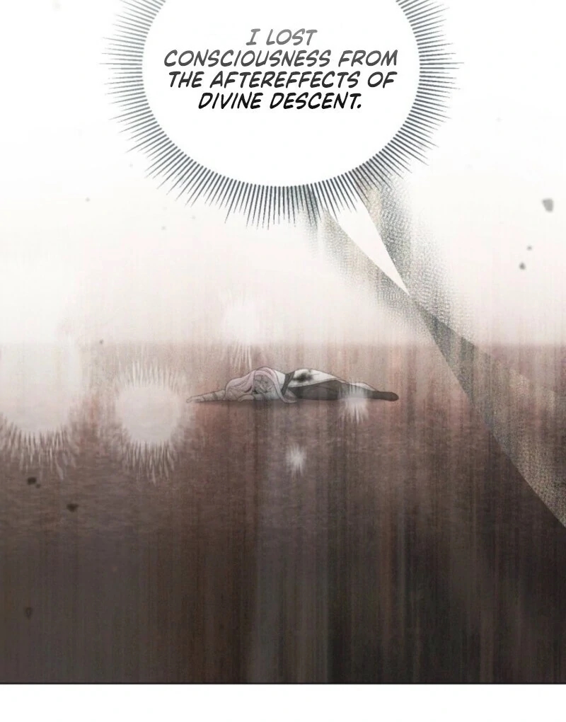 A Transmigrator's Privilege Chapter 106 - Page 12