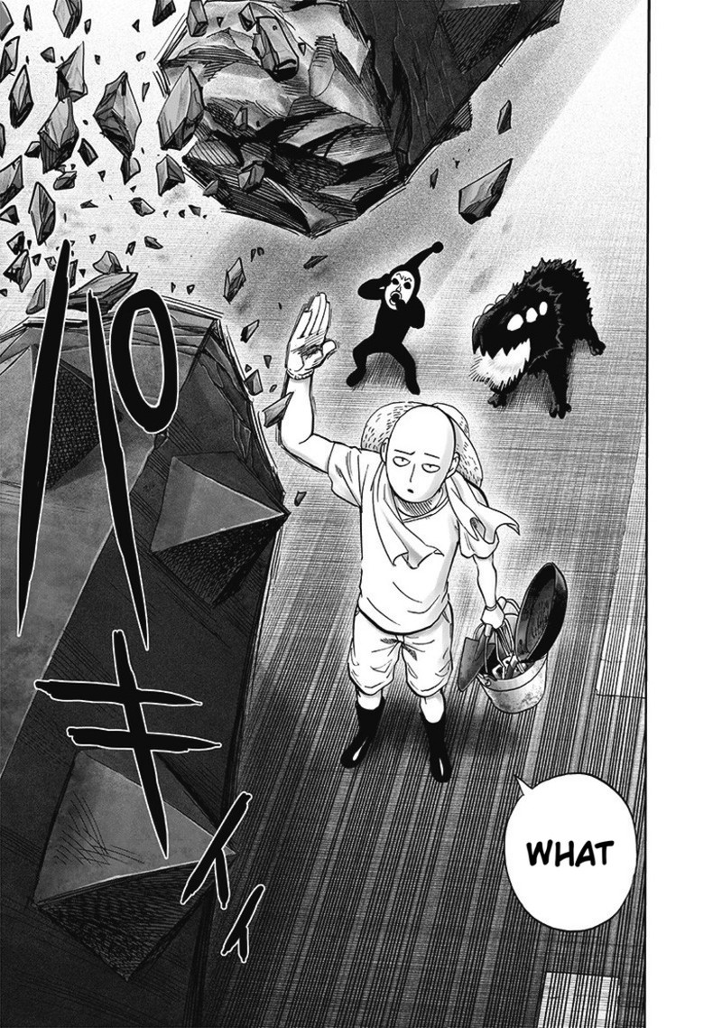 One-Punch Man Chapter 231 - Page 19