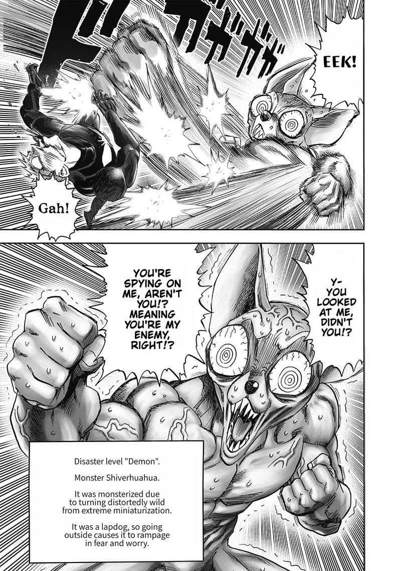 One-Punch Man Chapter 246 - Page 17
