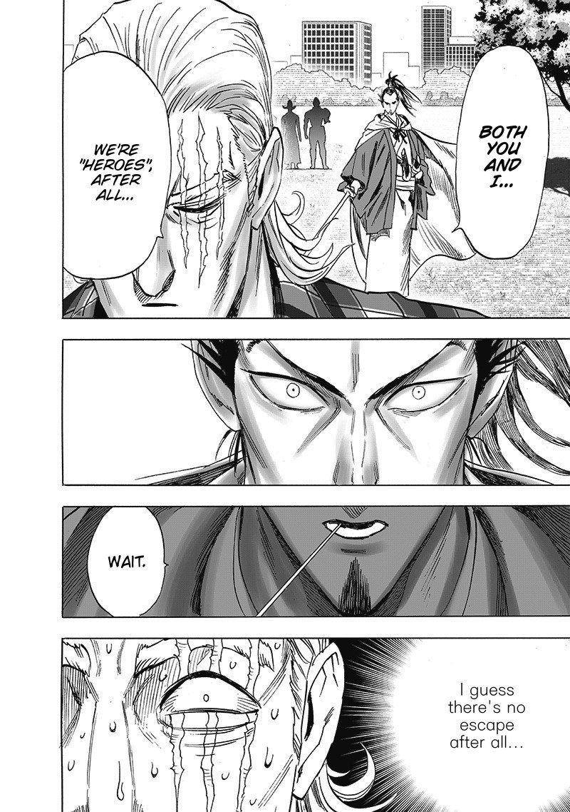 One-Punch Man Chapter 249 - Page 16