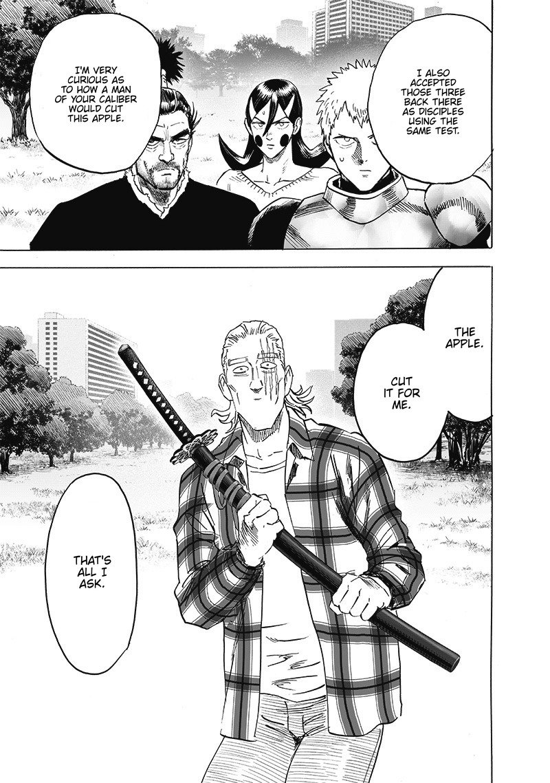 One-Punch Man Chapter 249 - Page 19