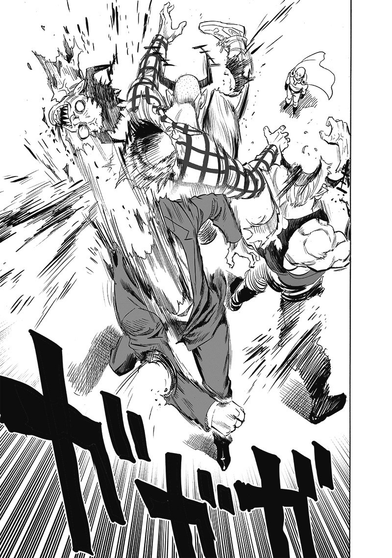 One-Punch Man Chapter 254 - Page 28