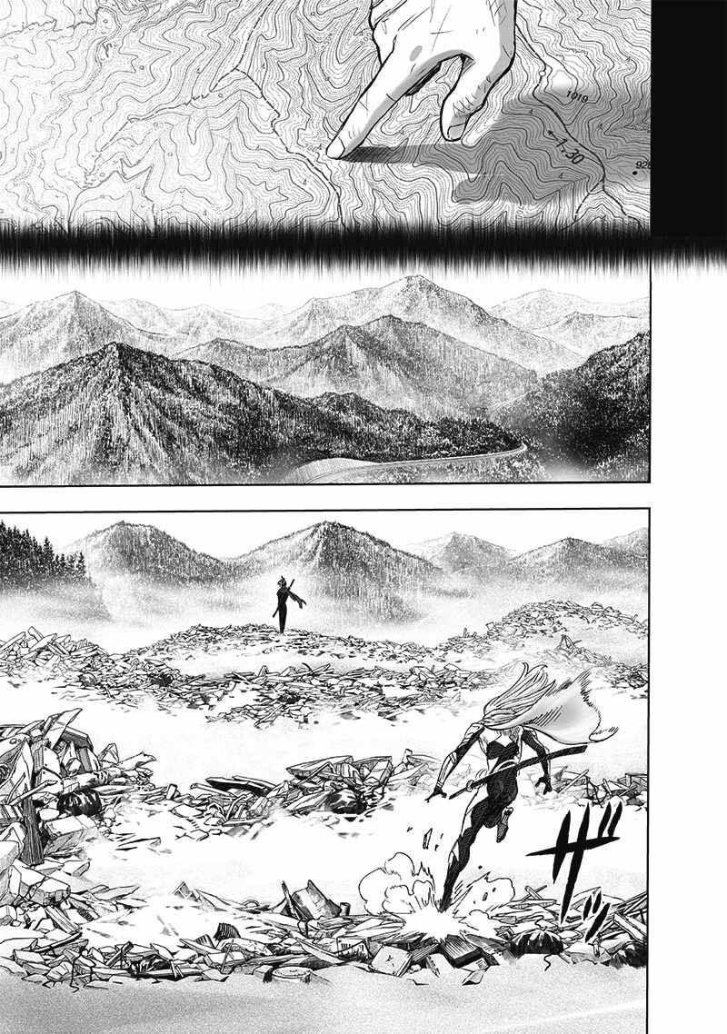 One-Punch Man Chapter 257 - Page 19