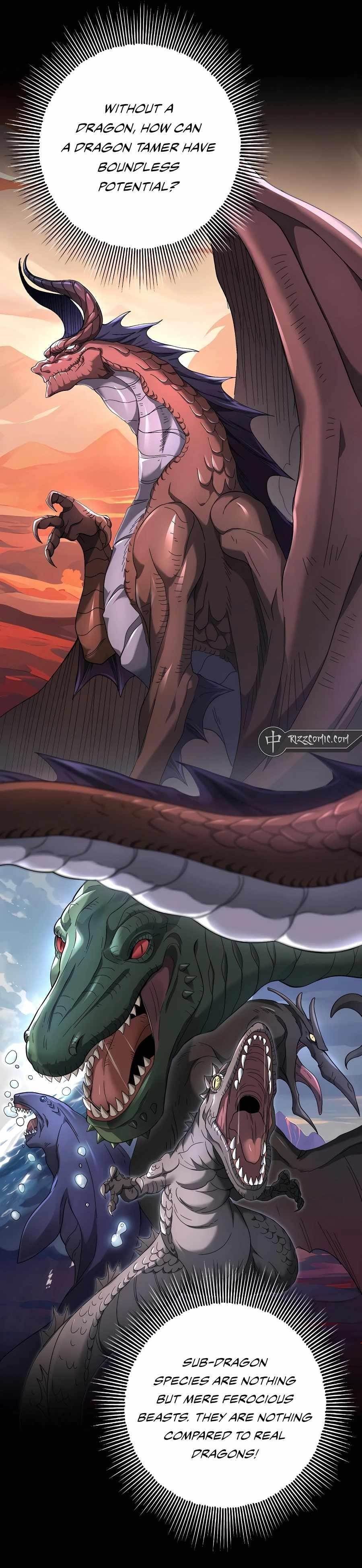 I Got The Weakest Class, Dragon Tamer!? Chapter 2 - Page 4